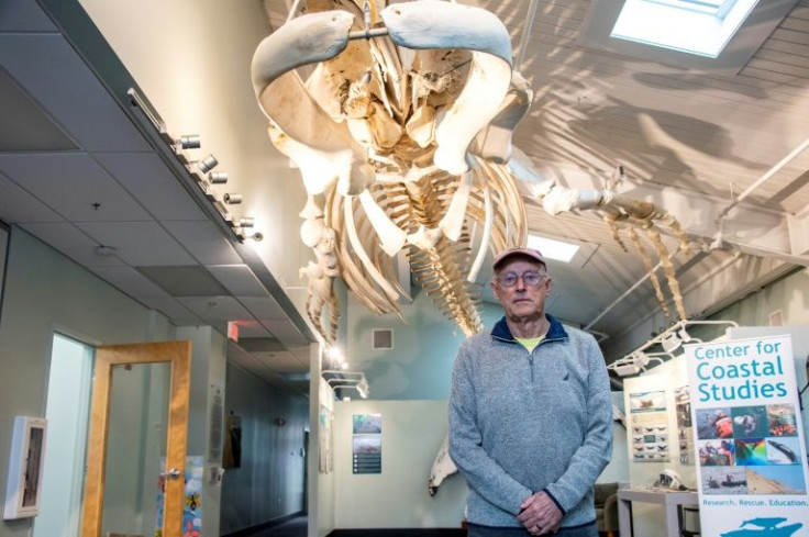 Charles "Stormy" Mayo's family has lived in the area since the 1600s; the founder of the Center for Coastal Studies was part of the first team to disentangle a whale