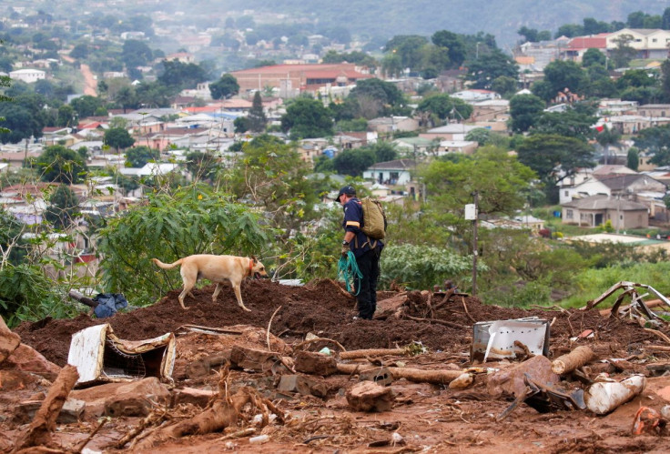 A search and rescue team member uses a dog to search for bodies in Dassenhoek near Durban, South Africa, April 17, 2022. 