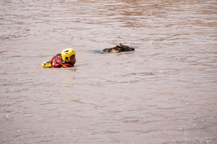 A search and rescue team member looks for bodies with the help of a dog, following torrential rains that triggered floods and mudslides, in Umbumbulu, near Durban, South Africa, April 18, 2022.