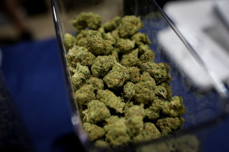 Cannabis buds are seen in a container during the Cannadelic Miami expo, in Miami, Florida, U.S. February 5, 2022. 