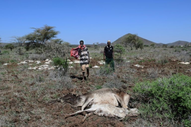 In Kenya, half a million people were on the brink of a hunger crisis, with communities in the north of the country especially at risk due to their reliance on livestock