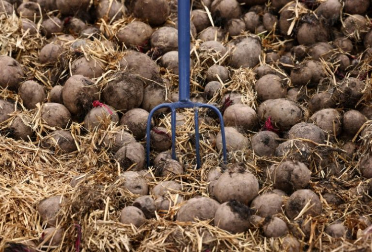 Woodhall's European buyer pulled out of a contract because of the need to separate EU from non-EU produce