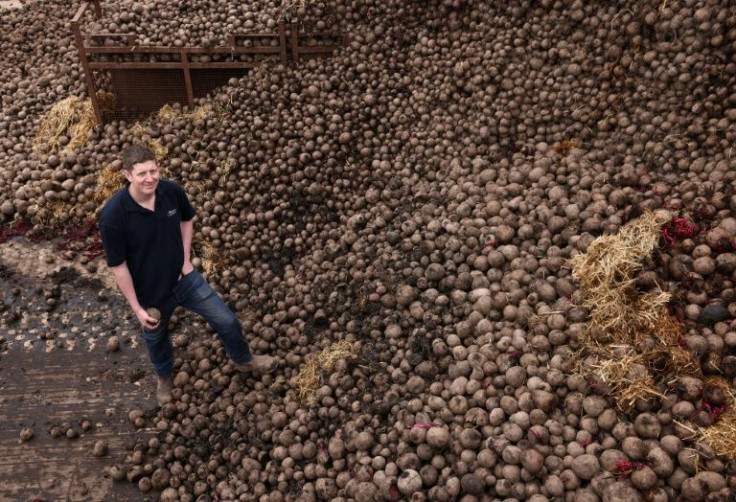 Several hundred tonnes of beetroot have been left to rot on Will Woodhall's farm in central England due to Brexit
