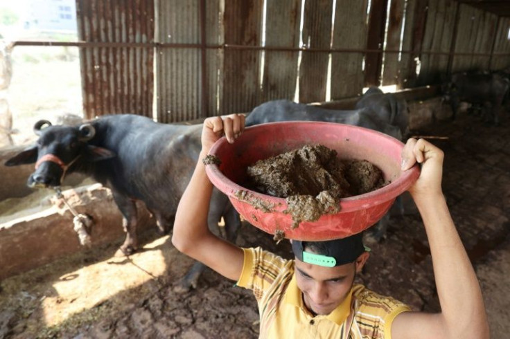 India is tapping a new energy source that promises to help clean up smog-choked cities and is already providing a vital revenue stream for poor Indian farmers: bovine manure