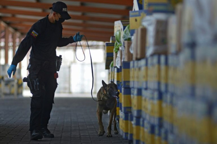 A member of the anti-narcotics police and a dog check for drugs in banana boxes destined for Italy at the port of Guayaquil, Ecuador on April 12, 2022