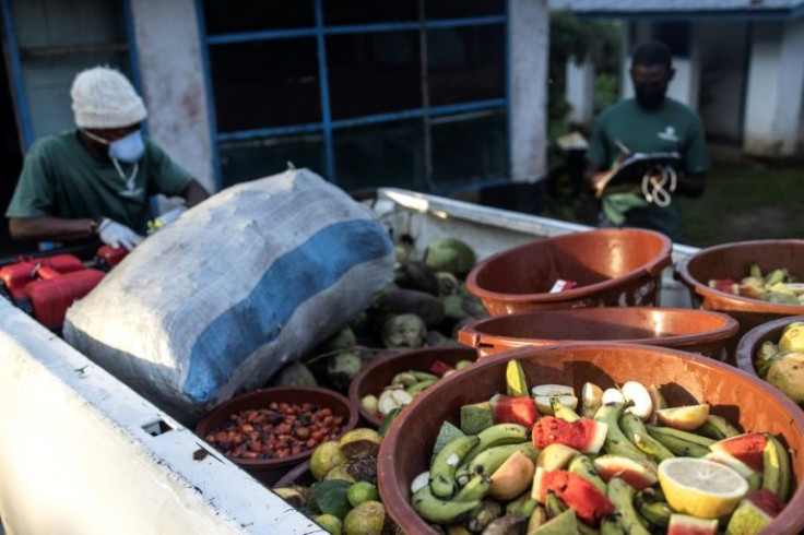 Healthy diet: The chimps tuck into about 10 tonnes of food each month