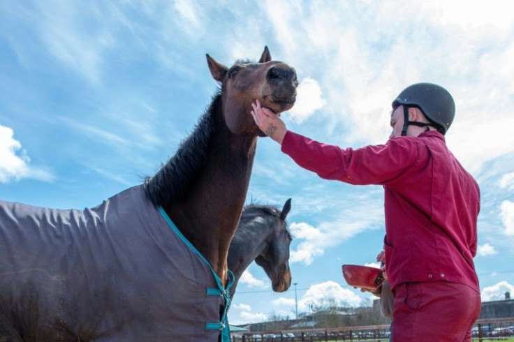 The equine centre at Castlerea Prison in central Ireland is the first of its kind in Europe