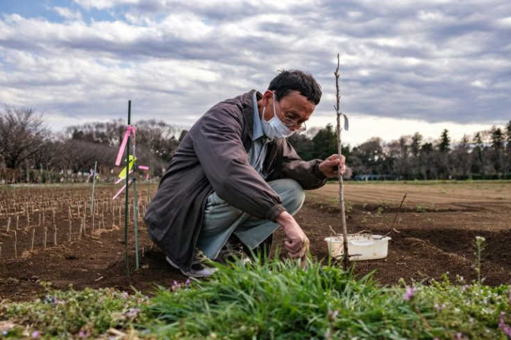 "It's all about planting the right flora in the right place," says Tanaka