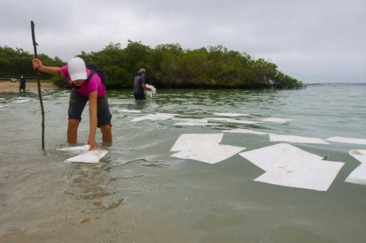 Volunteers spread absorbent cloths on a beach in Puerto Ayora, Ecuador, to absorb oil spilled by the sinking of a small boat near one of the Galapagos islands
