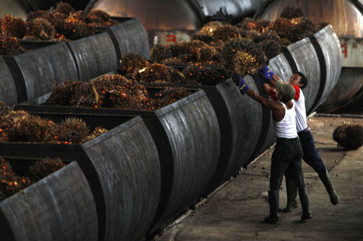 Workers carry oil palm fruits to containers on their way into processing plants at PT Perkebunan Nusantara VIII, a state-owned palm oil factory in Malingping, Indonesia's Banten province August 9, 2010.