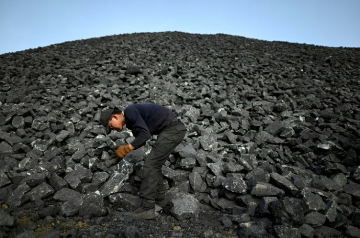 The world's biggest greenhouse gas emitter, China has vowed to peak carbon emissions by 2030 and become carbon-neutral by 2060