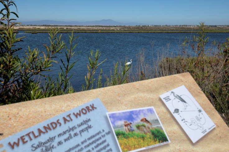 The Bolsa Chica wetlands are shown in Huntington Beach, California, U.S., June 24, 2021.