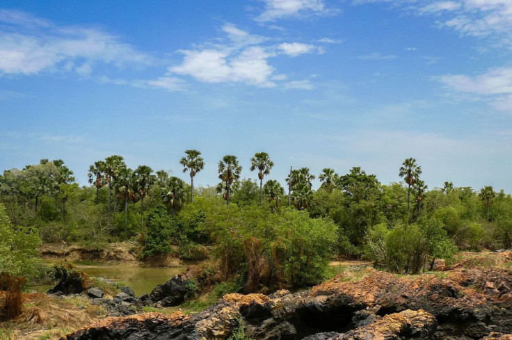 A view of the W National Park in northern Benin May 28, 2009. Picture taken May 28, 2009. Julian Chevillot-African Parks /Handout via REUTERS     