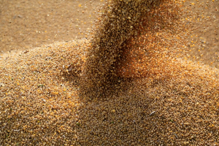 Soybeans are loaded on to a truck on February 17, 2020.