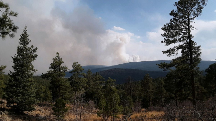 The Calf Canyon fire burns in mountains south of Mora, New Mexico, U.S. April 25, 2022.