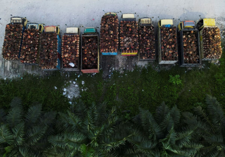 Trucks with palm oil fresh fruit bunches are parked in a queue at a palm oil factory in Siak regency, Riau province, Indonesia, April 26, 2022. Picture taken with a drone April 26, 2022.