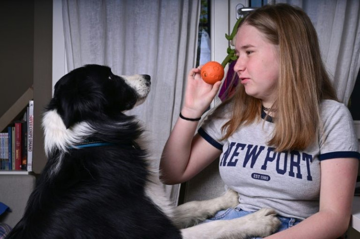Viktoria Shakshyna's room is filled with toys and happy memories of Italy that helped sustain her during the worst days