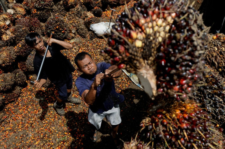 Workers load palm oil fresh fruit bunches to be transported from the collector site to CPO factories in Pekanbaru, Riau province, Indonesia, April 27, 2022.
