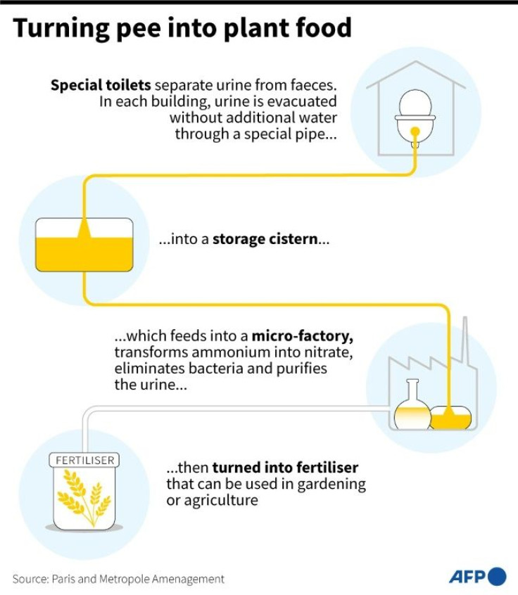 Graphic showing a process transforming urine into fertiliser