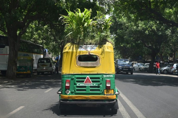Kumar says the thick patch of green keeps the vehicle cool even when temperatures are touching 45 degrees celsius