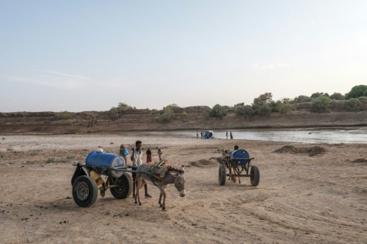 People take carts pulled by emaciated donkeys to the Shabelle River in Gode, Ethiopia, to draw water for their parched herds