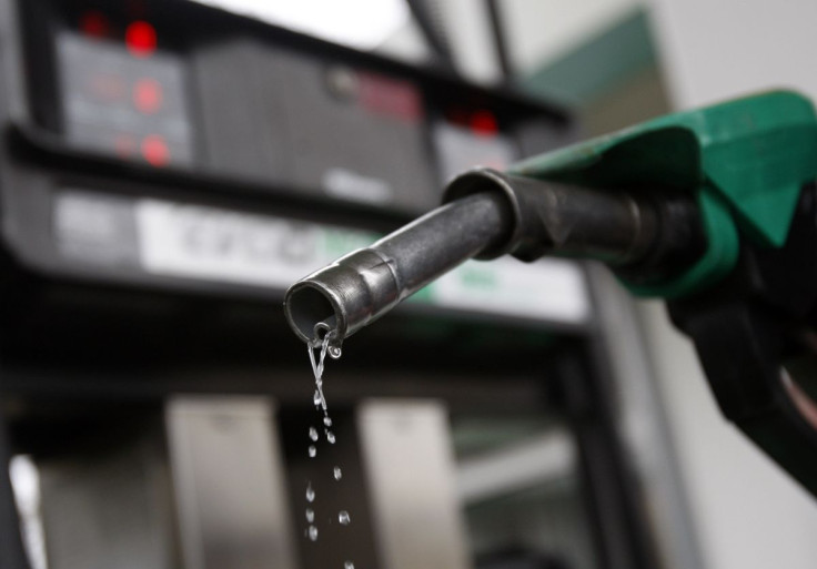 A man poses with a gasoline pump at a Budapest petrol station January 19, 2011. 