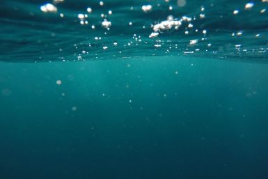 Underwater/Sea/Ocean
