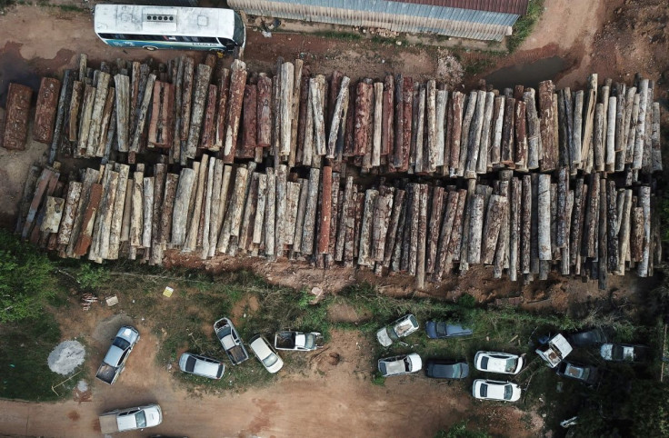 An aerial view shows logs that were illegally cut from the Amazon rainforest in Anapu, Para state, Brazil, September 2, 2019. Picture taken with a drone September 2, 2019.  