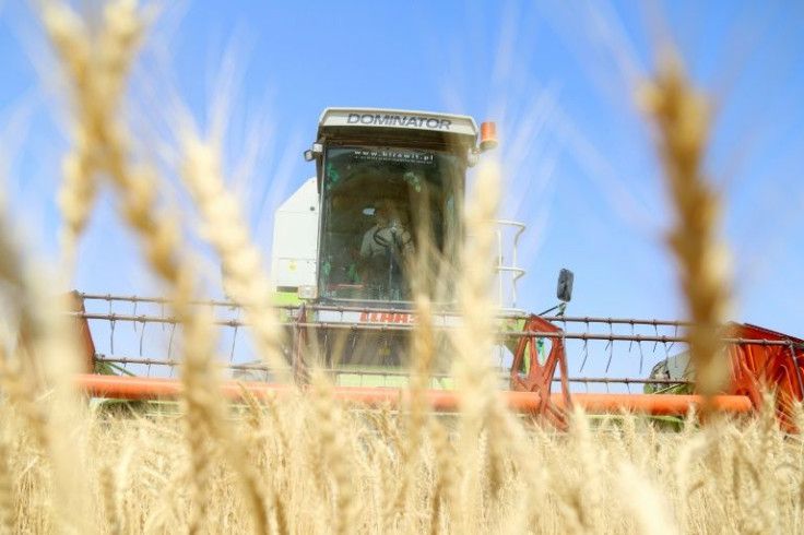 In 2019 and 2020 wheat harvests had reached five million tonnes, enough to guarantee "self-sufficiency" for Iraq but now the country will need to important wheat, according to the agriculture ministry