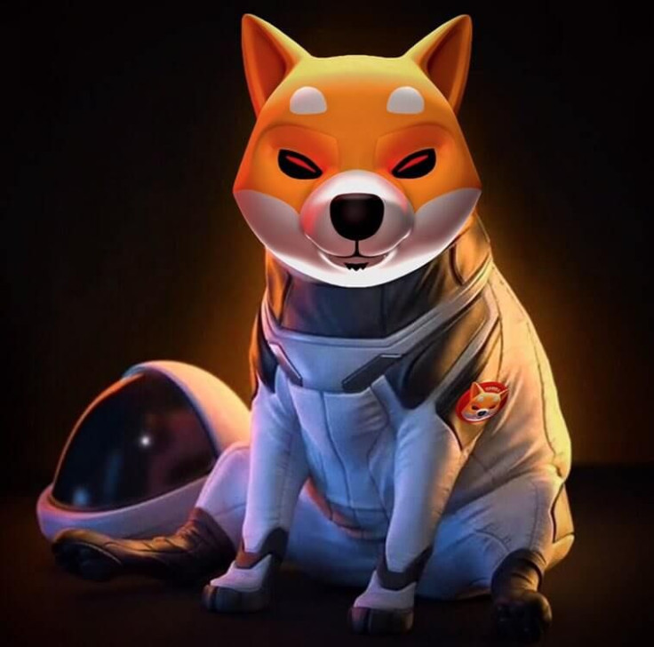 Shiba Inu