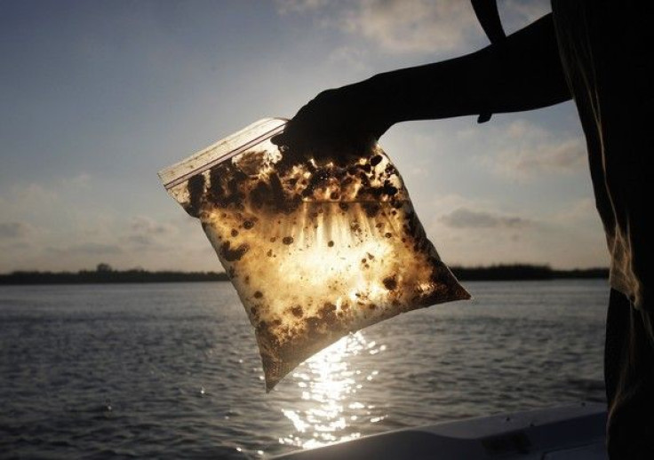 A man holds a plastic bag with oil from the Gulf of Mexico oil spill
