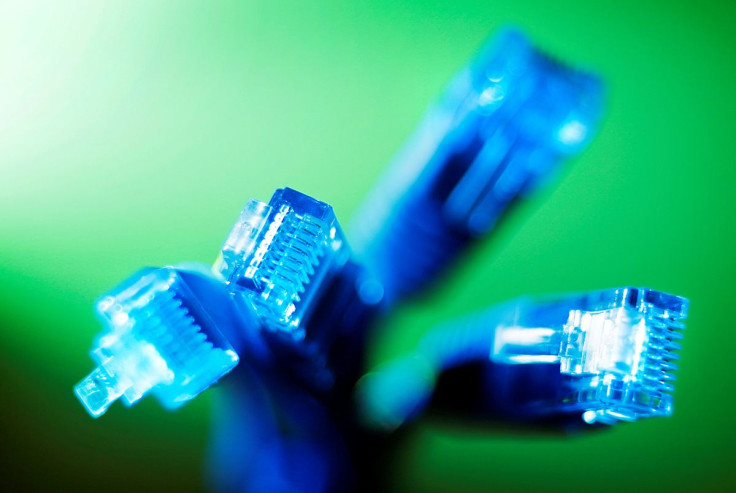 Internet LAN cables are pictured in this photo illustration taken in Sydney June 23, 2011. 