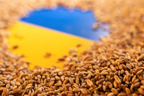 Ukrainian flag is covered with grains in this picture illustration taken May 9, 2022. 