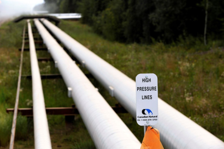 Pipelines at Canadian Natural Resources Limited's (CNRL) Primrose Lake oil sands project are seen near Cold Lake, Alberta August 8, 2013.