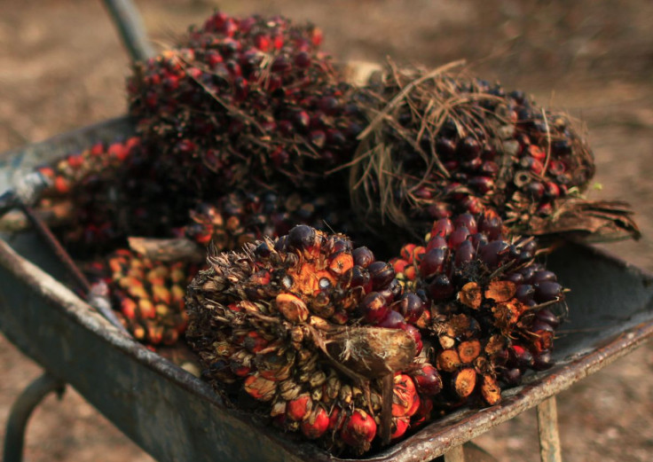 Palm oil fruits are seen placed on a wheelbarrow at a palm oil farm in Klang, outside Kuala Lumpur, February 19, 2014.