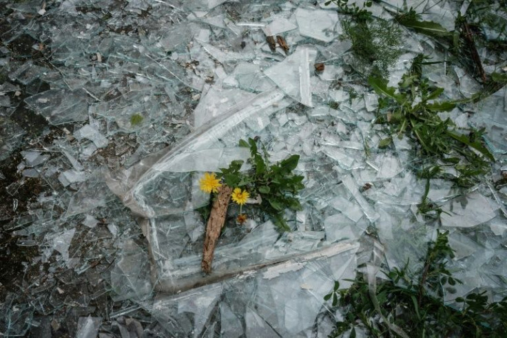 Flowers amongst debris of broken glass window at a destroyed school by shelling in Novomykolaivka, eastern Ukraine