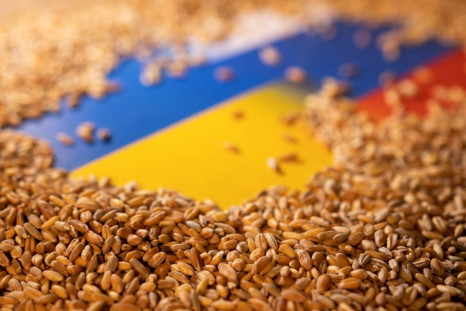 Grain is placed on Ukrainian and Russian flags in this picture illustration taken May 9, 2022. 