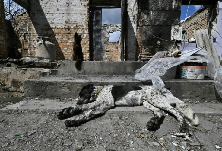 Areas around Kyiv, from which Russian forces withdrew after failing to take the capital, are also devastated