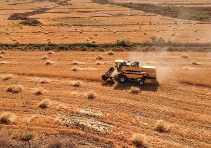 Drought, conflict and low stocks are creating a perfect storm on global wheat markets.