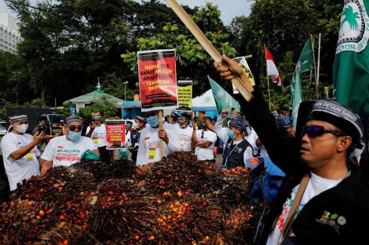 Indonesian palm oil farmers take part in a protest demanding the government to end the palm oil export ban, outside the Coordinating Ministry of Economic Affairs office, in Jakarta, Indonesia May 17, 2022. 