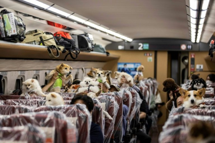 A whole carriage was dedicated to the pooches on Saturday's tour