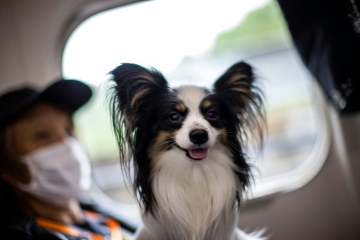 The railway's operator is keen to organise more pet-friendly excursions in the future