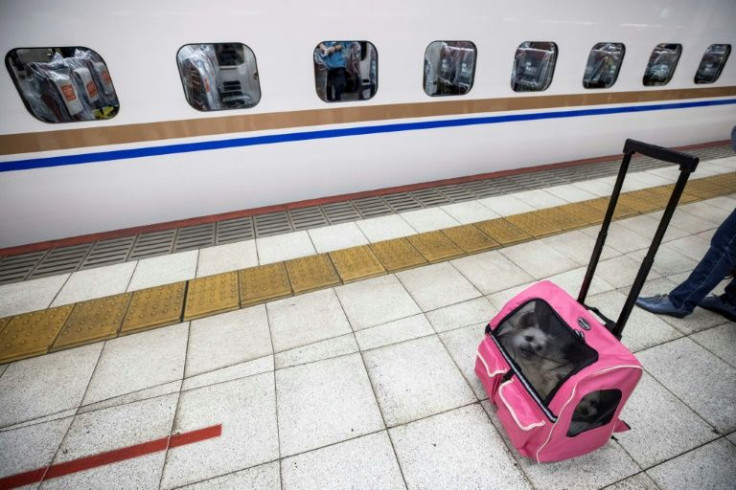 Pets are allowed on Japan's bullet trains but normally must be kept inside a holder