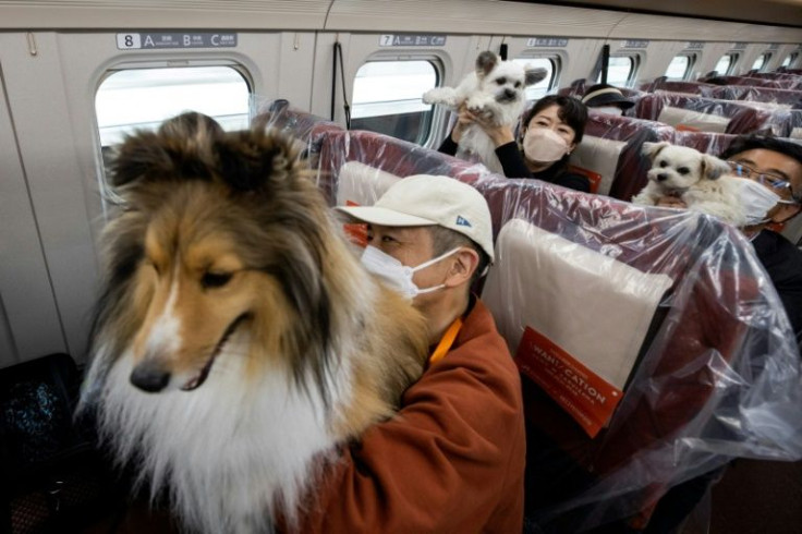 More than 20 furry passengers boarded the sleek shinkansen train for a one-hour ride to the resort town of Karuizawa