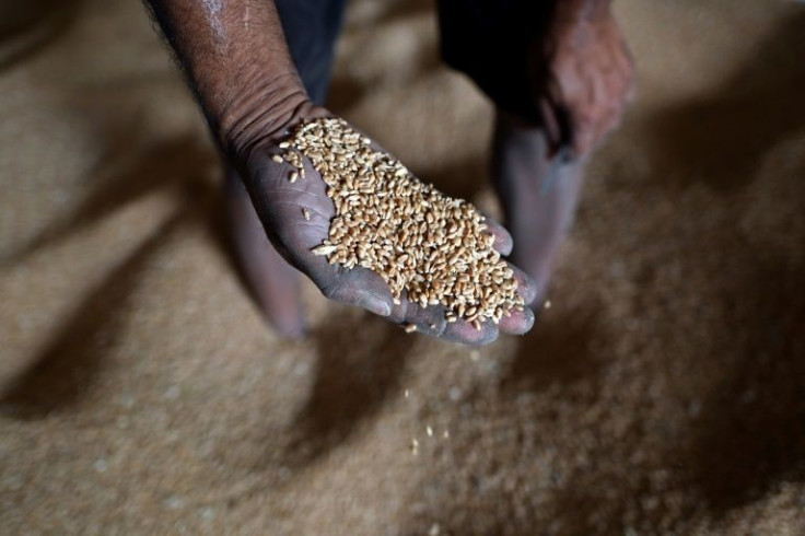 Domestic prices for Indian wheat have slumped to just 2,015 rupees per 100 kilograms, the government-mandated floor
