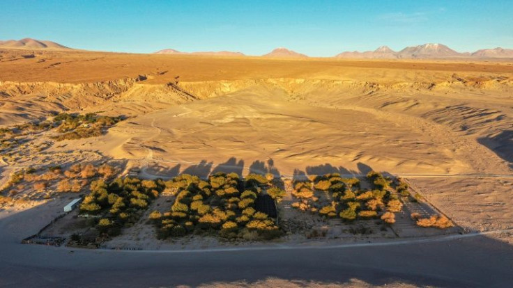 Chajnantor, one of the vineyards in the middle of Chile's Atacama desert