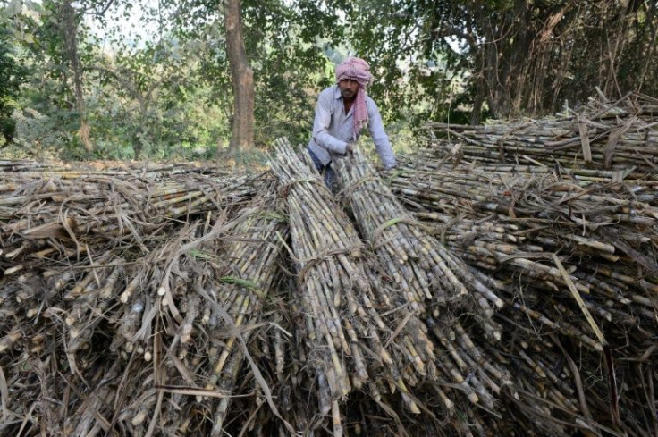 India is the world's second largest sugar exporter after Brazil