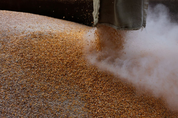 Grain is loaded on a truck at the Mlybor flour mill facility after it was shelled repeatedly, amid Russia's invasion of Ukraine, in Chernihiv region, Ukraine, May 24, 2022.