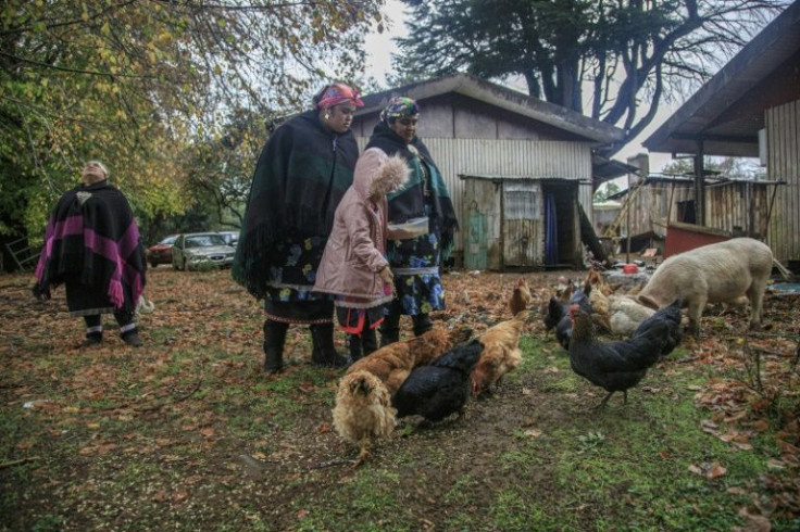 Mapuche community member Carolina Soto (C) was forced to leave Temuco when she could not make ends meet, and now lives off the state-owned land she occupies