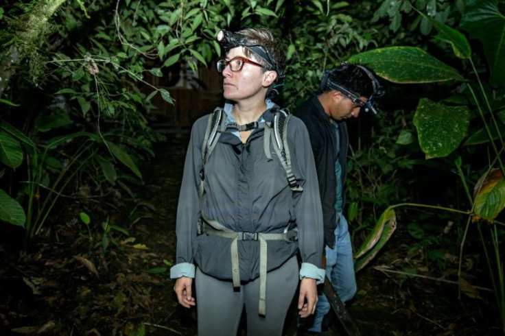 Biologist Andrea Terán (left) and farmer Kevin Rosero look for amphibians in a natural forest in Ecuador's Imbabura department